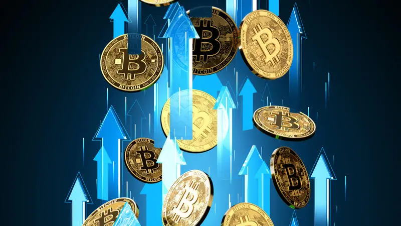 Crypto Market Soars to New Heights: Bitcoin Breaks $56,000, SOL and SHIB See Stunning 24% Daily Gains