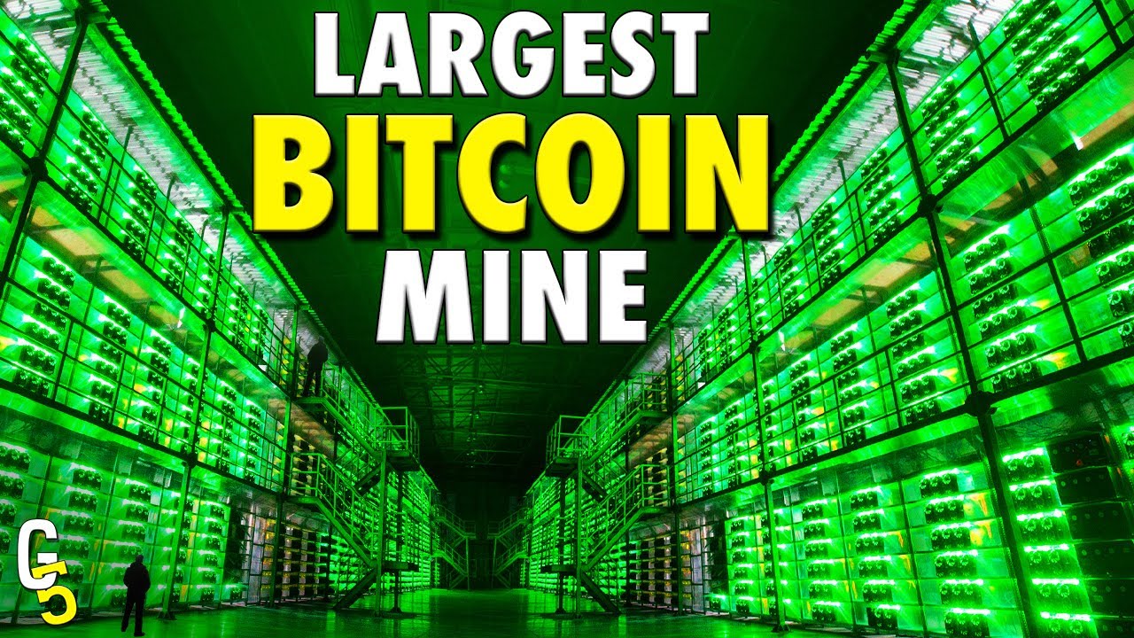 World's Largest Bitcoin Miner Sees Significant Increase in BTC Holdings 2024